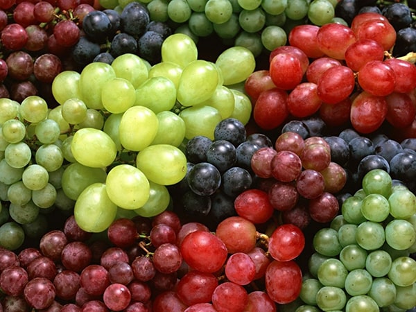 فواید آب انگور برای سلامتی